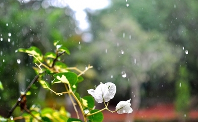 van regen in de drup.jpg